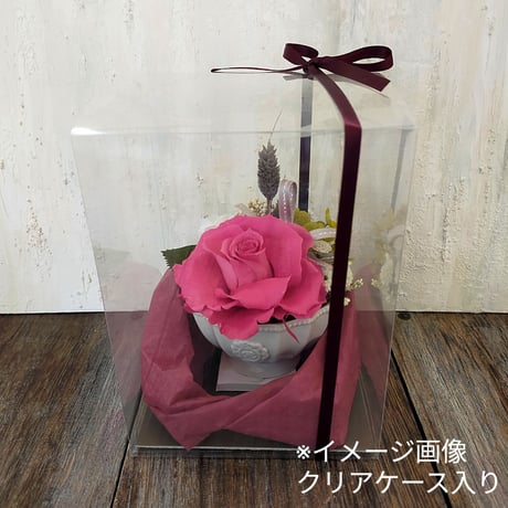 プリザーブドフラワーVP  SS