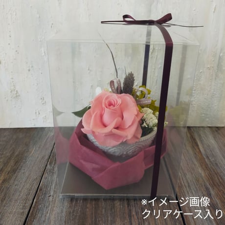 プリザーブドフラワー  ApP SS