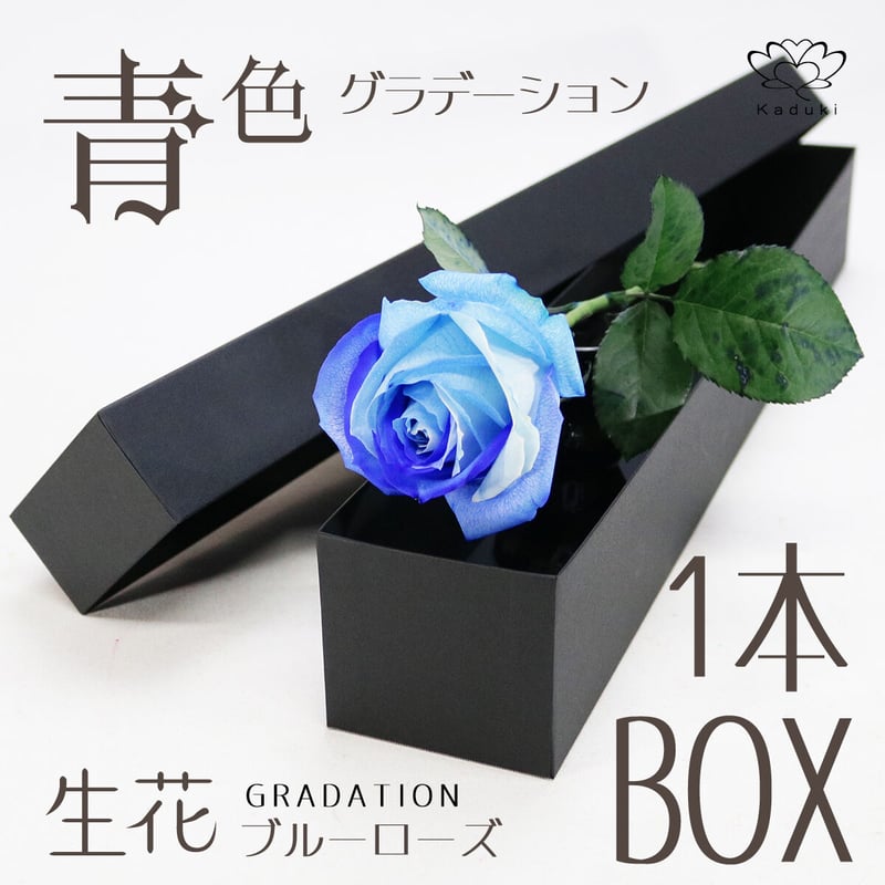 ブルーローズ グラデーション Mサイズ 1輪BOX 生花 バラ 花束 ブルーローズ グラデーション Mサイズ 1輪BOX 生花 バラ 花束