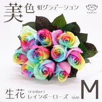 レインボーローズ イロドリ Mサイズ 選べる本数 花束 生花バラ フラワーギフト 安心のメーカー直販 (注文個数1で1本)