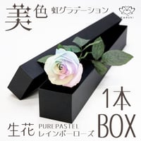 レインボーローズ ピュアパステル Mサイズ 1輪ＢＯＸ 生花 バラ 花束 ボックスフラワー フラワーギフト 安心のメーカー直販