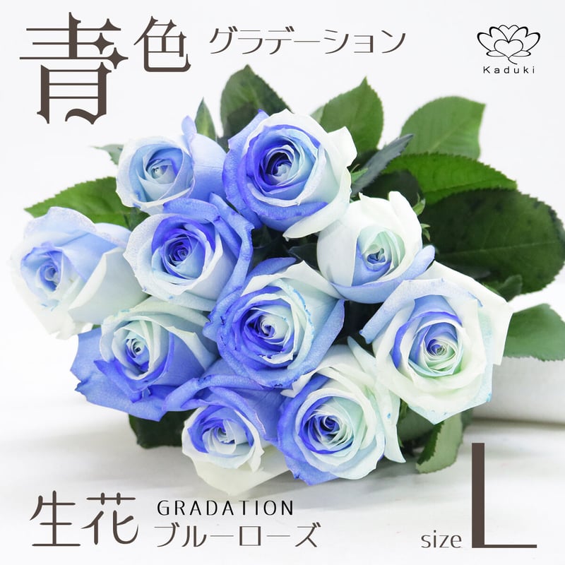 のの★薔薇と紫陽花　最高級綿100%セミダブル　クイーン仕立て直し のの☆薔薇と紫陽花 最高級綿100%セミダブル クイーン仕立て直し