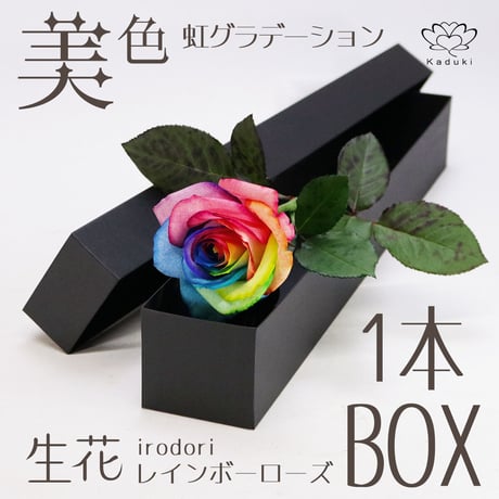 レインボーローズ | STORES