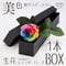 レインボーローズ イロドリ Mサイズ 1輪BOX 生花 バラ 花束 ボックスフラワー フラワーギフト 安心のメーカー直販