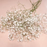 【オプション】　カスミソウまたは類似の小花