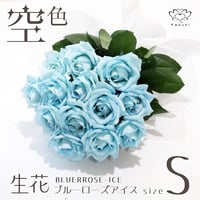 ブルーローズ アイス Sサイズ 選べる本数 花束 生花青バラ フラワーギフト 安心のメーカー直販 (注文個数1で1本)