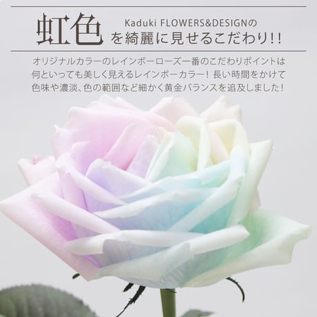 レインボーローズ と季節の花 ピュアパステル Mサイズバラ 選べる本数 生花バラ 花束 フラワーギフト (数量1でバラ1本+季節の花適量)