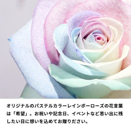 レインボーローズ ピュアパステル 季節の花 アレンジメント(R) フラワーギフト 生花 虹 バラ 安心のメーカー直販 ※7～9月は沖縄・北海道・離島等一部地域は配送不可
