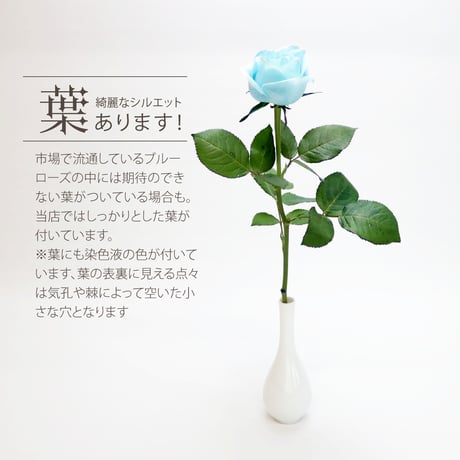 ブルーローズ アイス Sサイズ 選べる本数 花束 生花青バラ フラワーギフト 安心のメーカー直販 (注文個数1で1本)
