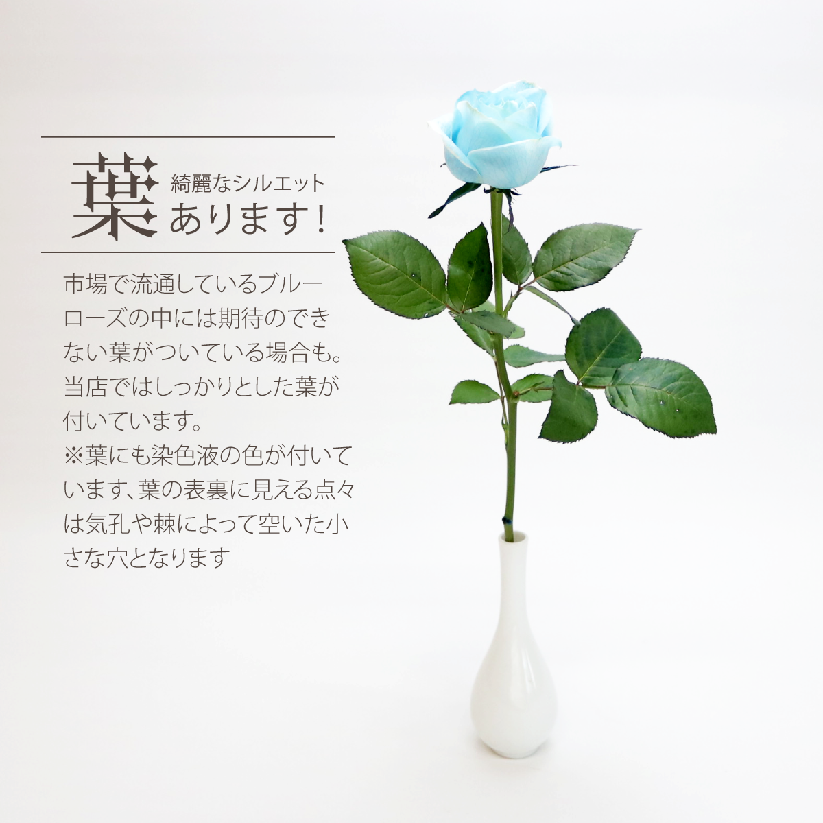  「アイスローズ」 美しい青いバラ♡３点セット♡ original