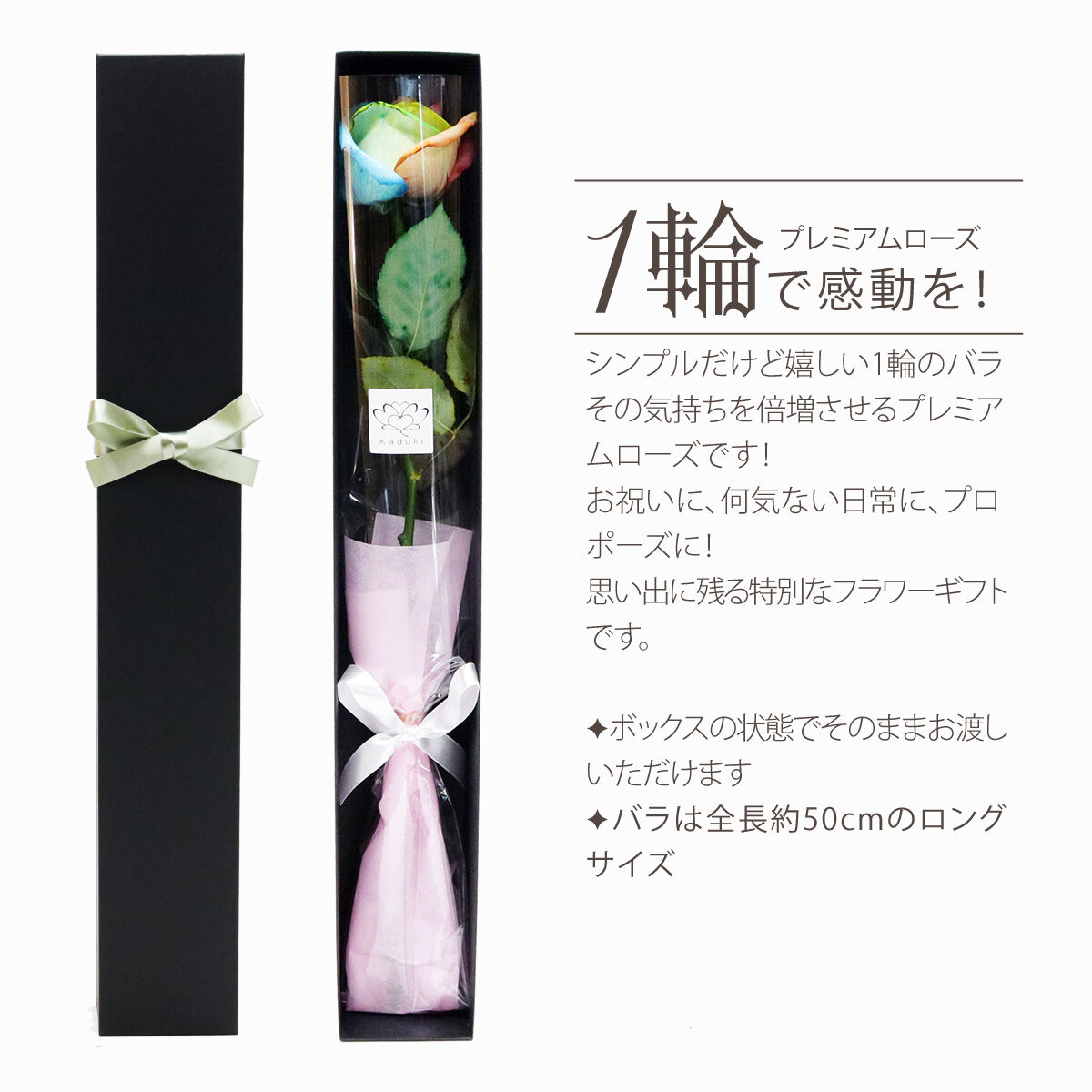 レインボーローズ ピュアパステル Mサイズ 1輪BOX 生花 バラ 花束