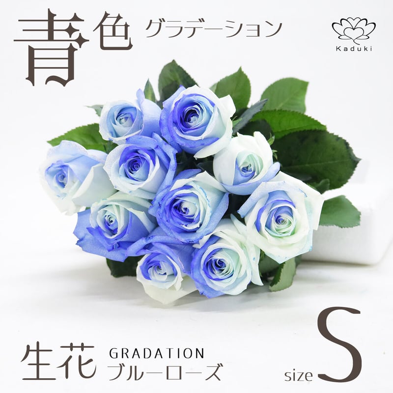 ブルーローズ グラデーション Sサイズ 選べる本数 花束 生花青