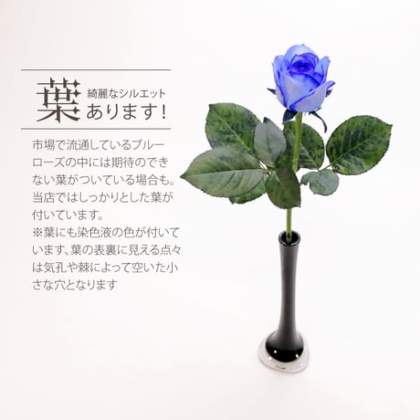 ブルーローズ ラズリ Mサイズ 選べる本数 花束 生花青バラ フラワーギフト 安心のメーカー直販 (注文個数1で1本)