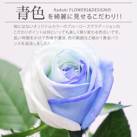 ブルーローズ グラデーション Mサイズ 1輪ＢＯＸ 生花 バラ 花束 ボックスフラワー フラワーギフト 安心のメーカー直販