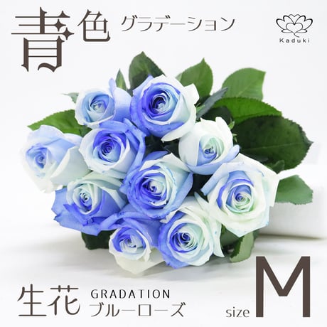 CATEGORY 花束 | hana GRADATION 華月 -Kaduki FLOWERS CATEGORY 花束 | hana GRADATION 華月 -Kaduki FLOWERS