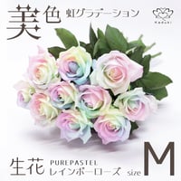 レインボーローズ ピュアパステル Mサイズ 選べる本数 花束 生花バラ フラワーギフト 安心のメーカー直販 (注文個数1で1本)