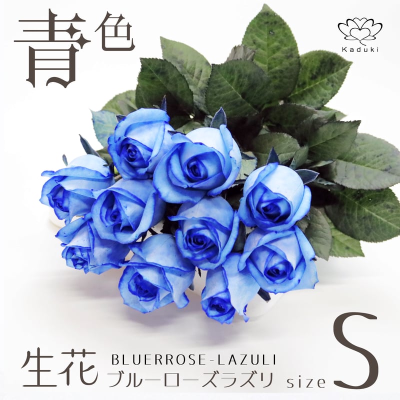 Blue薔薇様のorderのお品です。 青いバラ ブルーローズ70本の花束 青い薔薇(バラ) ブルーローズ