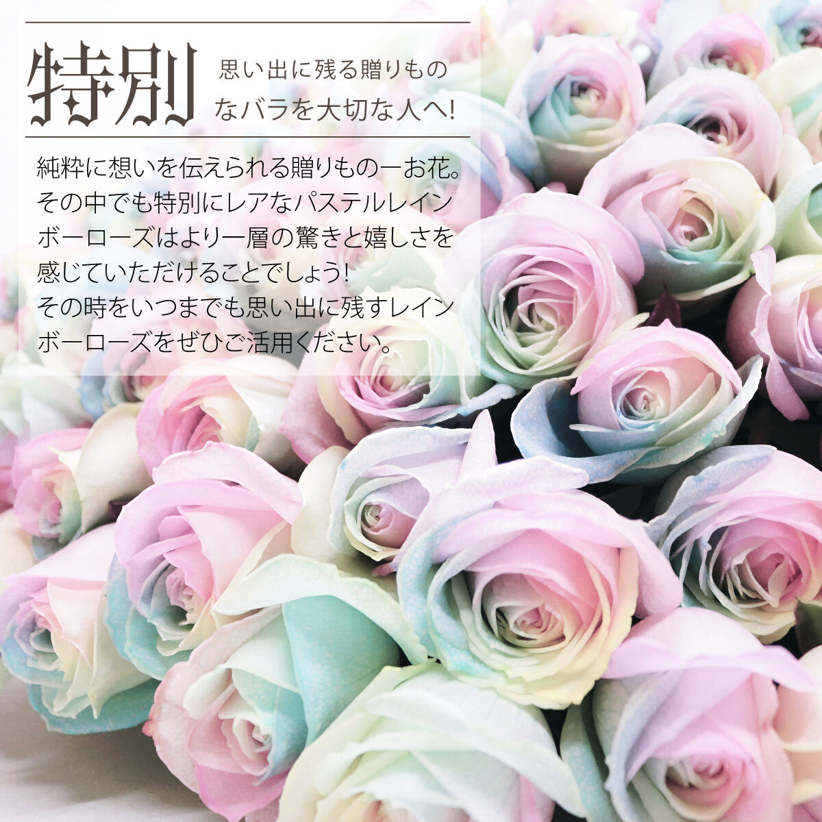 レインボーローズ ピュアパステル Mサイズ 1輪BOX 生花 バラ 花束