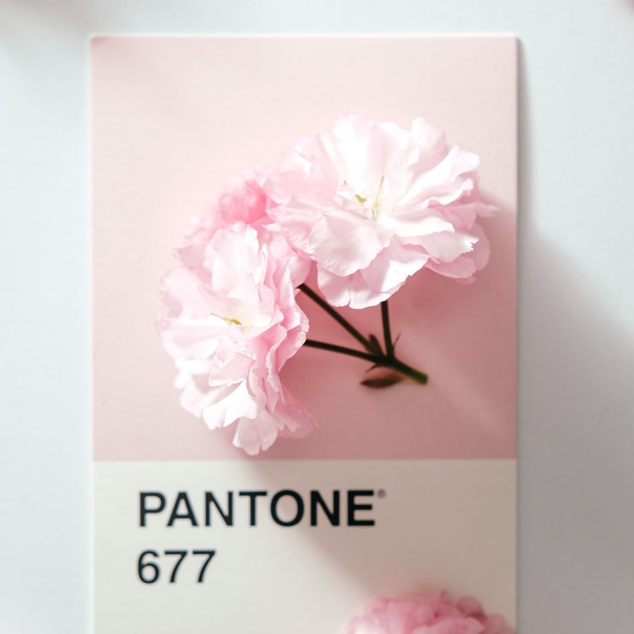 621b57c3e8592629541fa66a