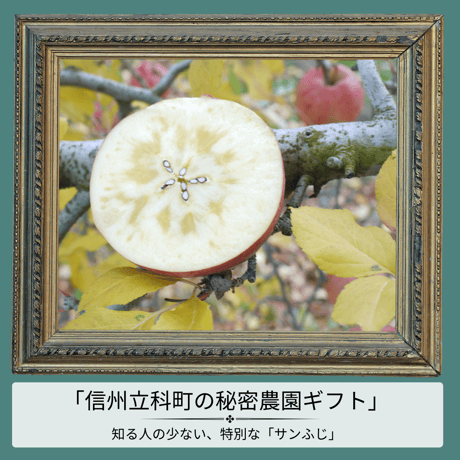 驚くべき香りと味わいのバランス_サンふじ5kg