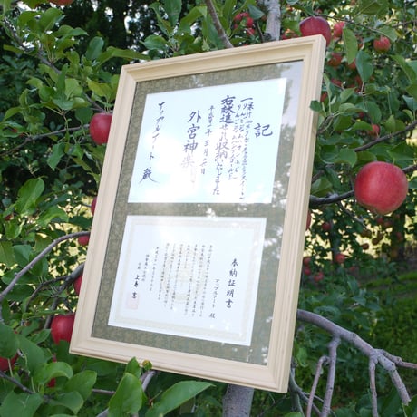 飲むりんごギフト - 四季の贈り物_２本セット