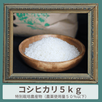 長野県立科町産 特別栽培 新米コシヒカリ５ｋｇ_🌟2025新米🌟