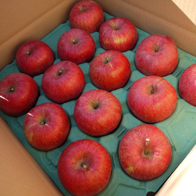 驚くべき香りと味わいのバランス_サンふじ10kg | アップルアート