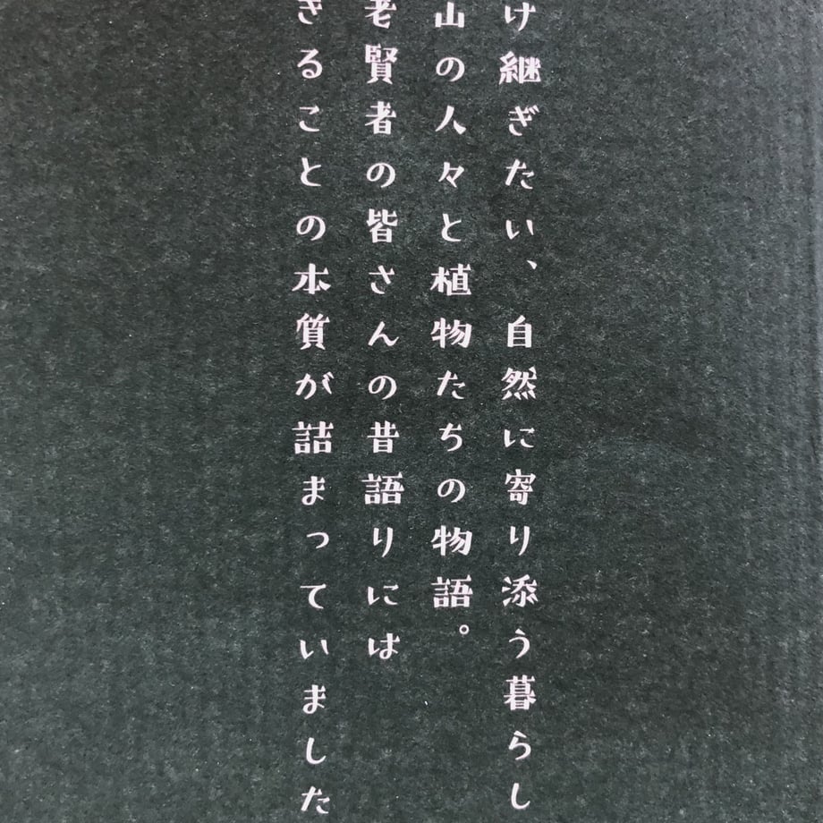 619e5049d5ffeb52e54c9e60