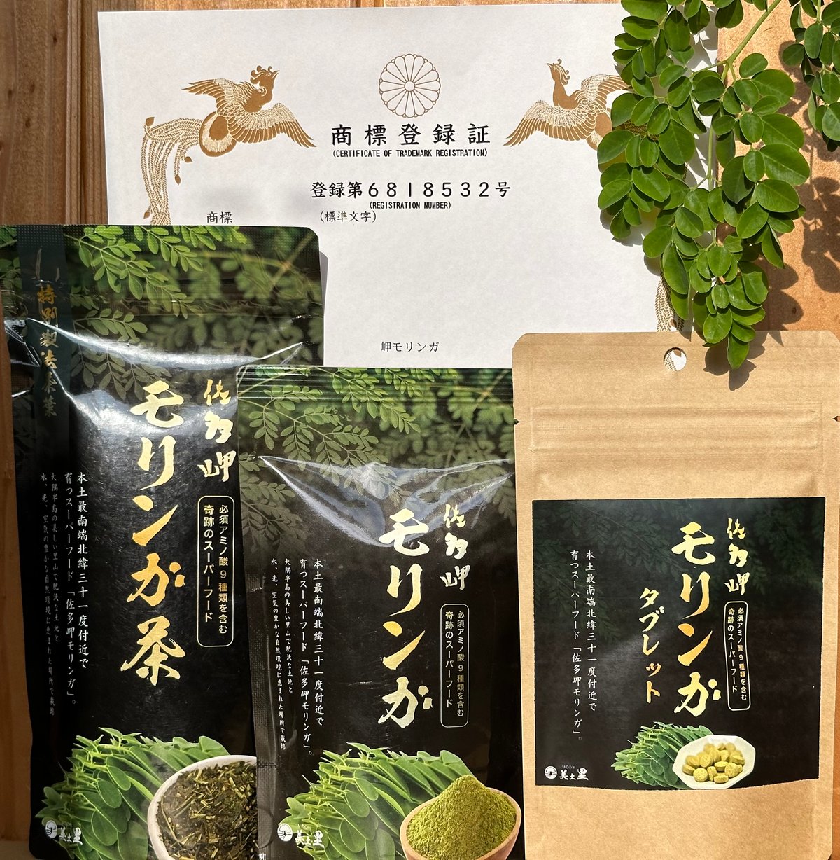 佐多岬モリンガ パウダー（50g） | 美土里（みどり） 農業生産法人