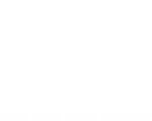 日本盆栽協同組合