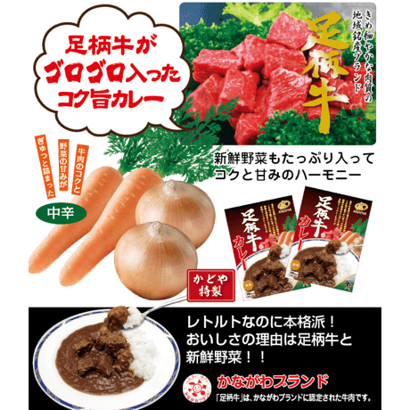 【ギフト箱入り】足柄牛カレー6食セット