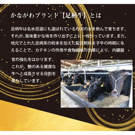 足柄牛 3種 焼肉セット