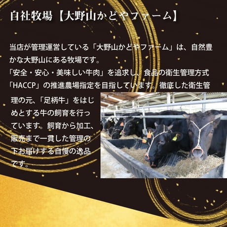 足柄牛 サーロインステーキ 500g(2枚入）