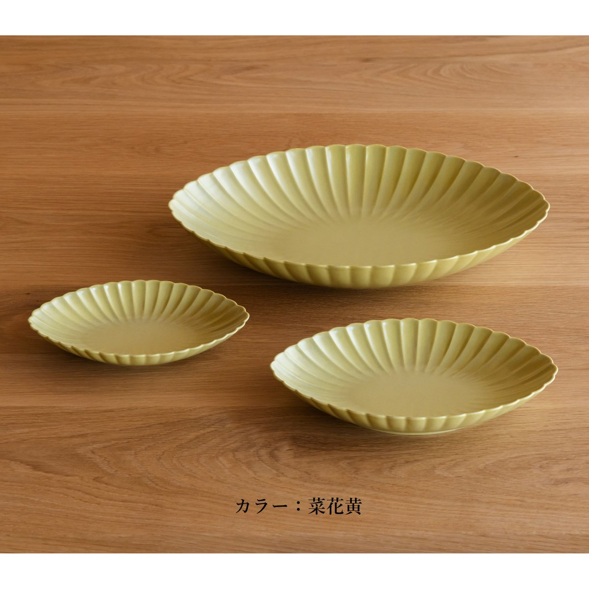 菊 長鉢 大 | JICON 磁今 オンラインショップ