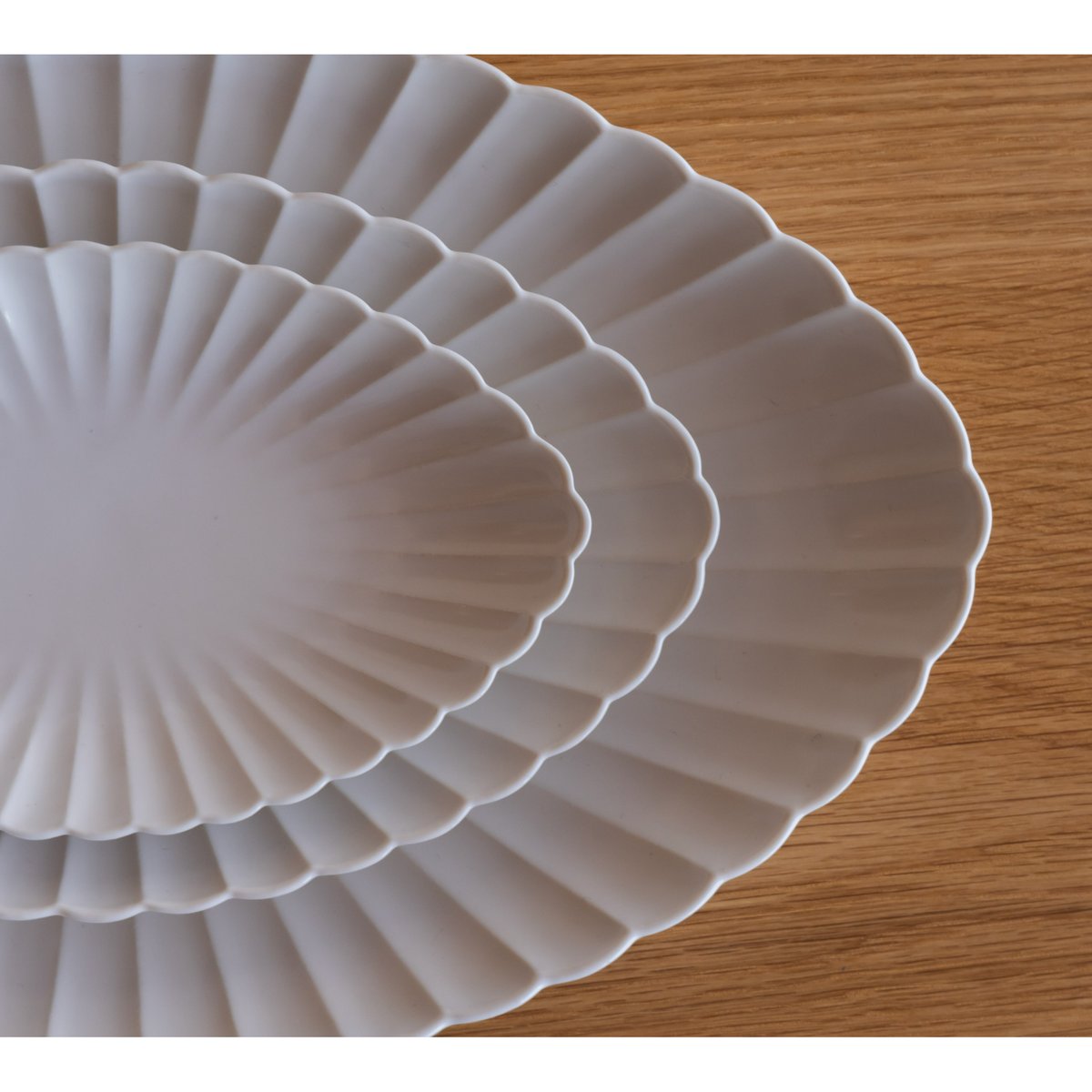 菊 長鉢 中 | JICON 磁今 オンラインショップ