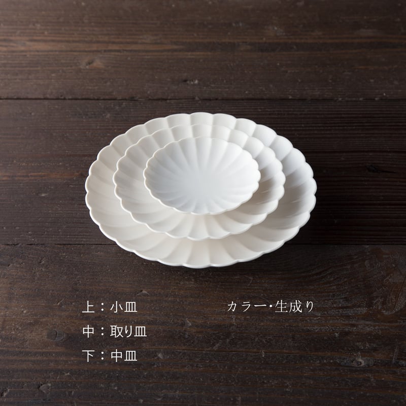 菊皿 中皿 | JICON 磁今 オンラインショップ 菊皿 中皿 | JICON 磁今 オンラインショップ