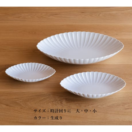 菊　長鉢　中