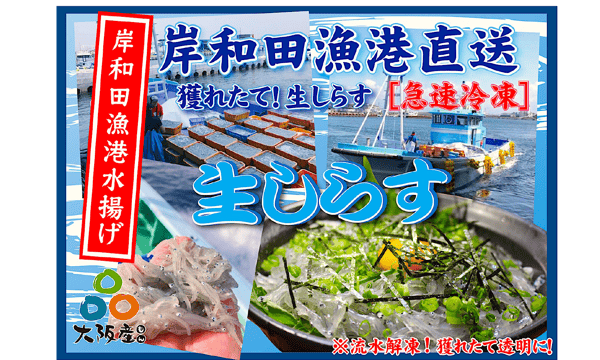 岸和田漁港直送】 生炊きしらす 佃煮 くぎ煮 2kg 岸和田漁港直送】 生