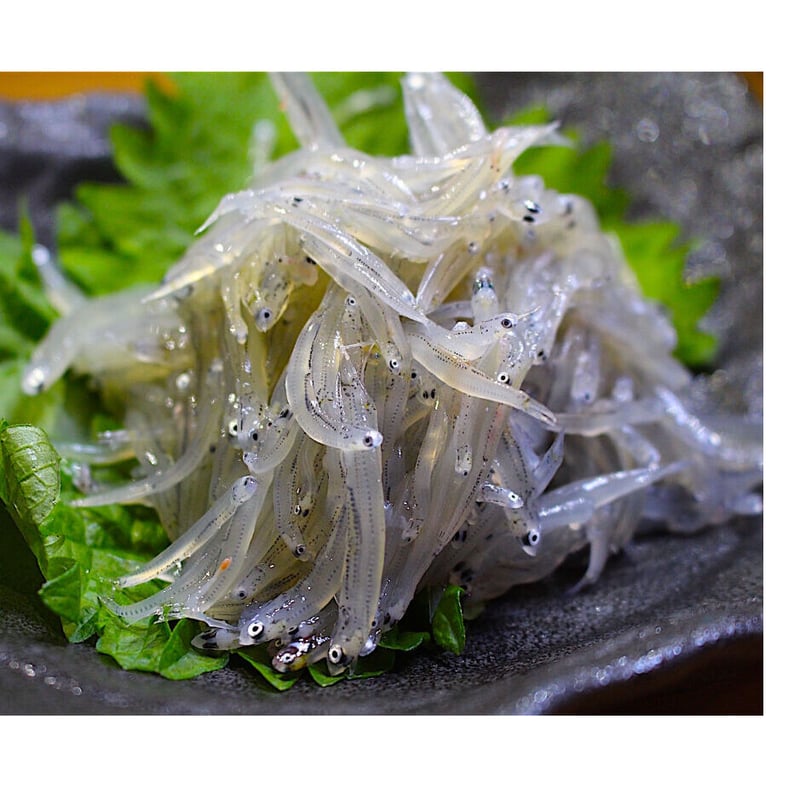 冷凍】生しらす（2kg） | イカリフーズ