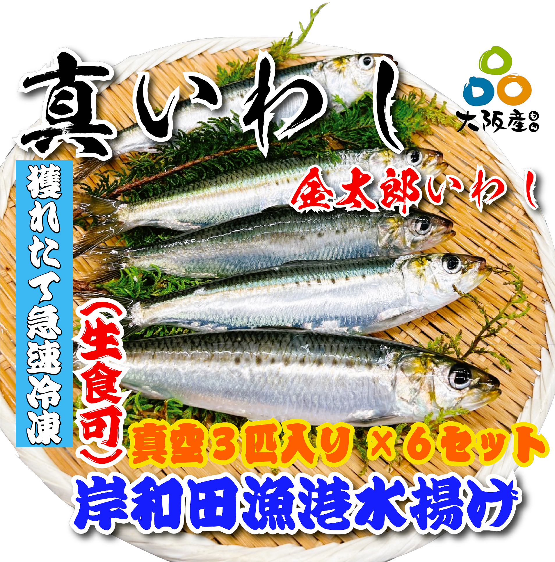 いわし様 冷凍】大阪湾産真いわし真空3匹×6セット（生食可） | イカリフーズ