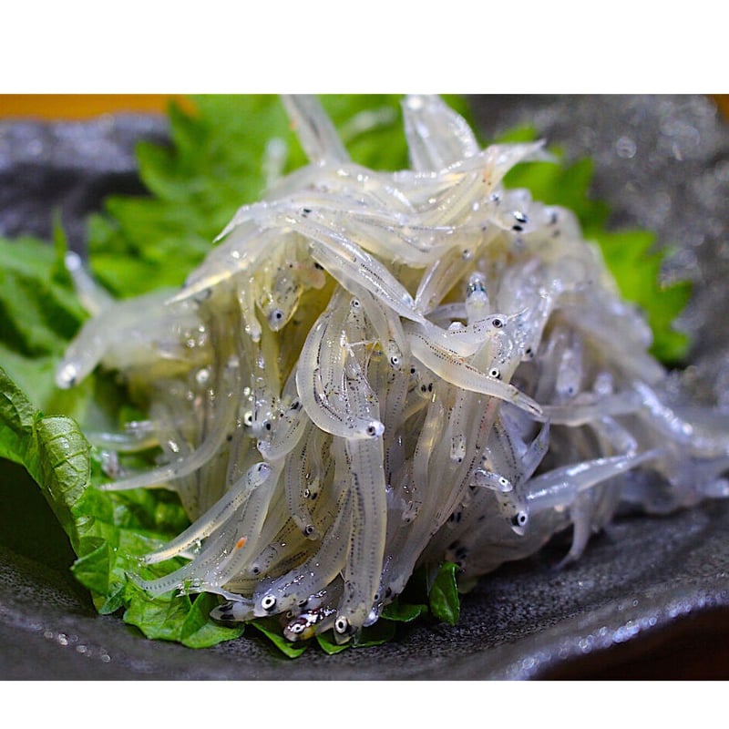 しらすPrime Amazon.com: Fellowes Saturn 125 Thermal Laminator Machine