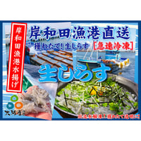 【冷凍】生しらす（1.5kg）