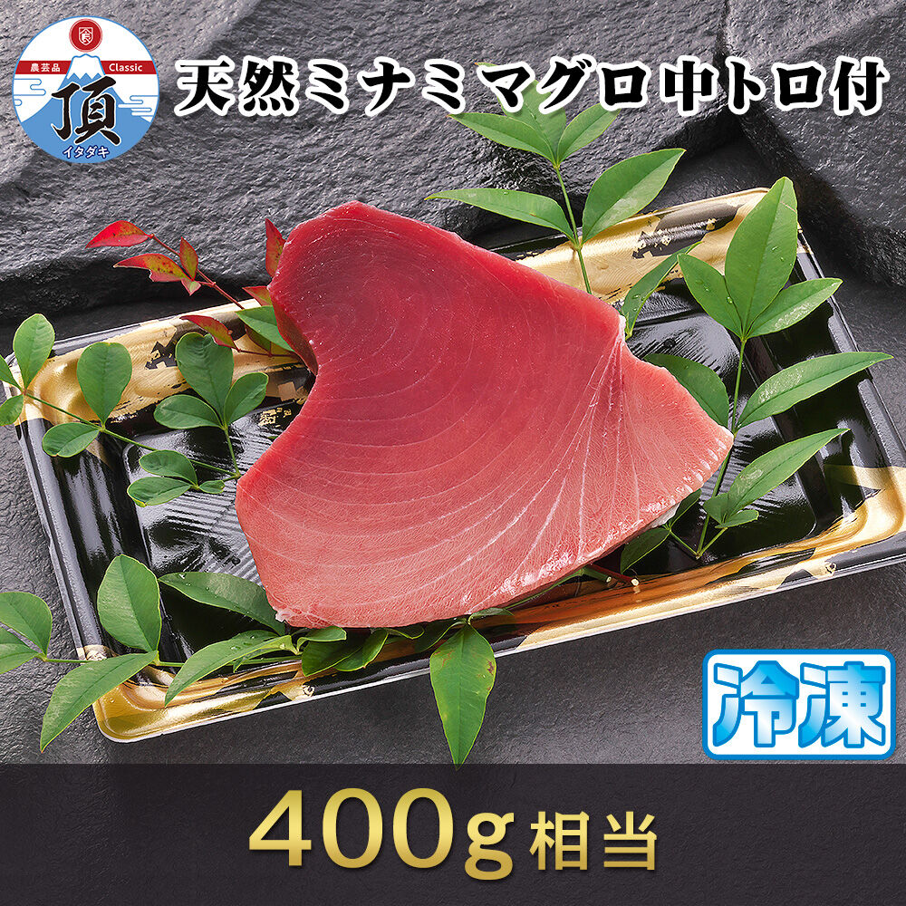 焼津ミナミマグロスキンレス（中トロ付） 刺身用冷凍1ブロック