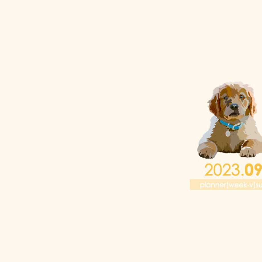 64ed82ee243a75002e2907fa