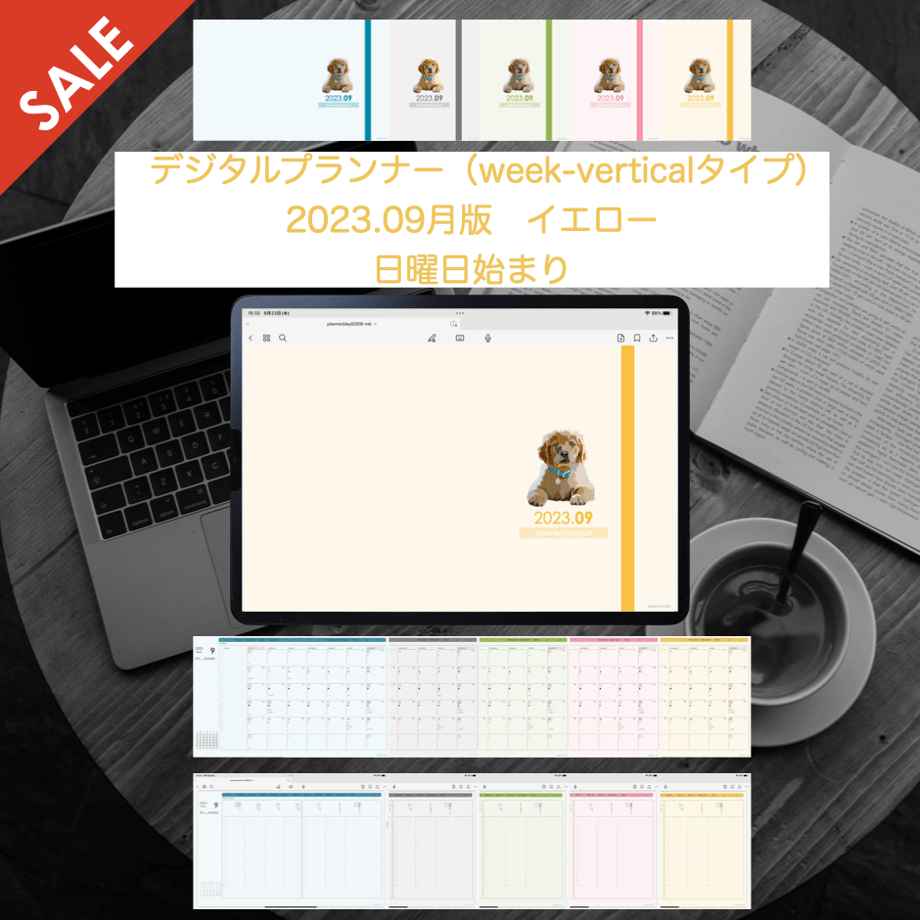 64ed82ee243a75002e2907fa