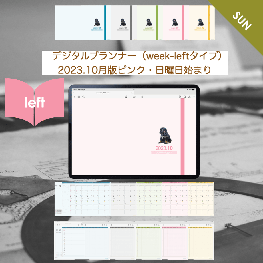 65029bfc73db3d002f6caffe