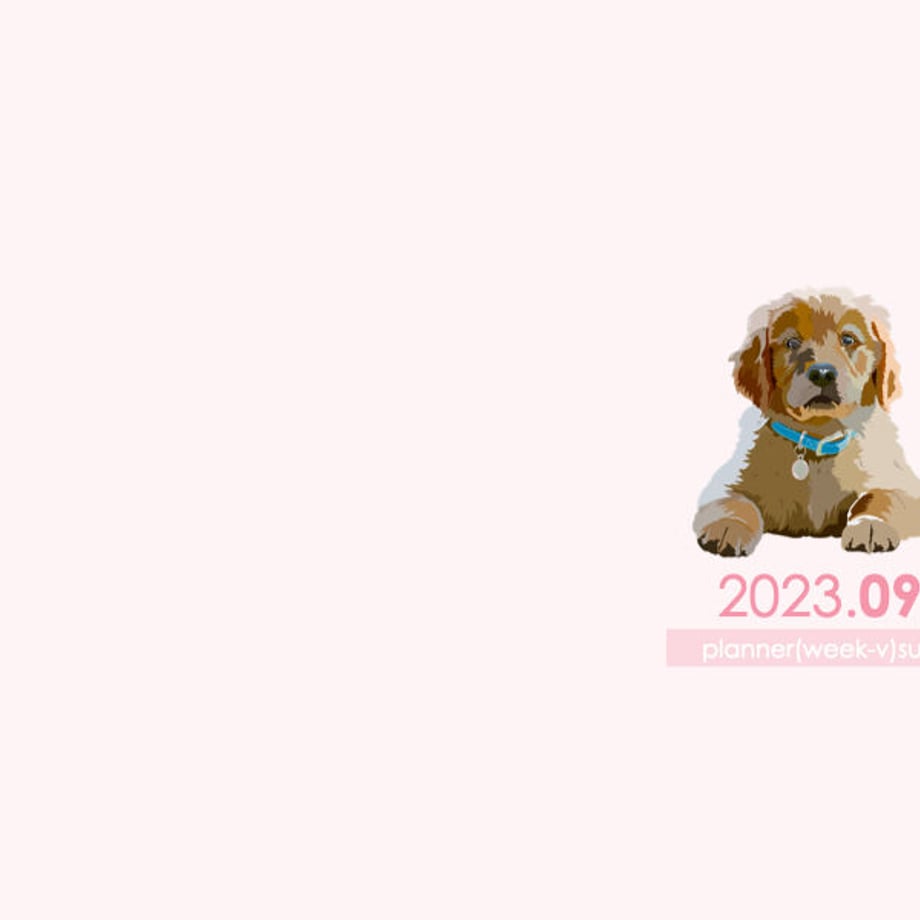 64ed82abbd758c01a55aa30f