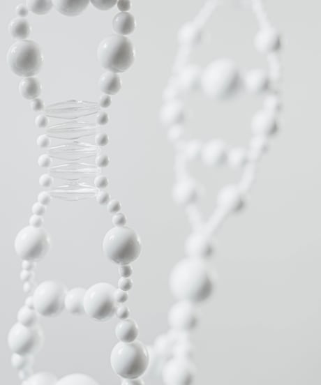 ON° DNA STRAP ″No.１″ white