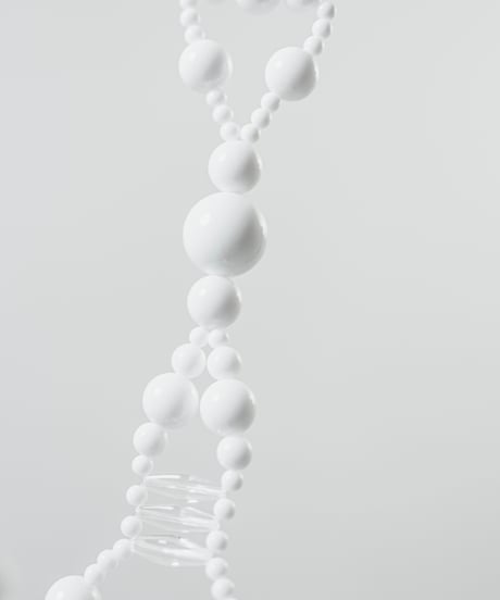 ON° DNA STRAP ″No.１″ white