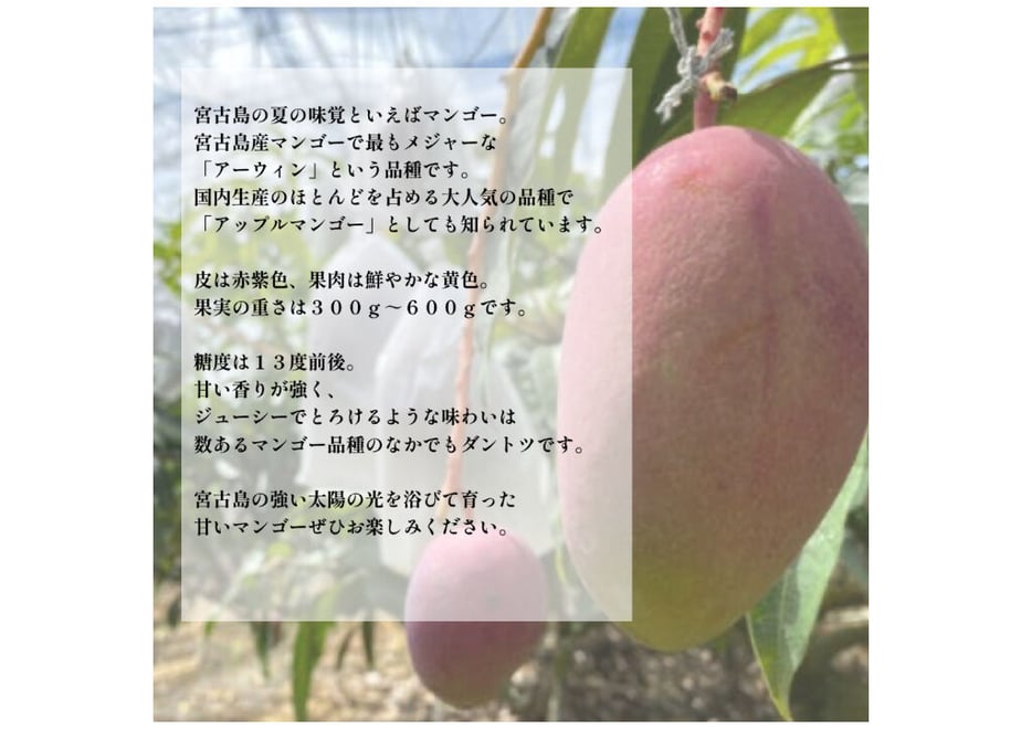 62552e7ea102750b9fe791e7